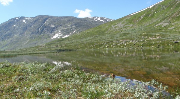 Lille slettevann